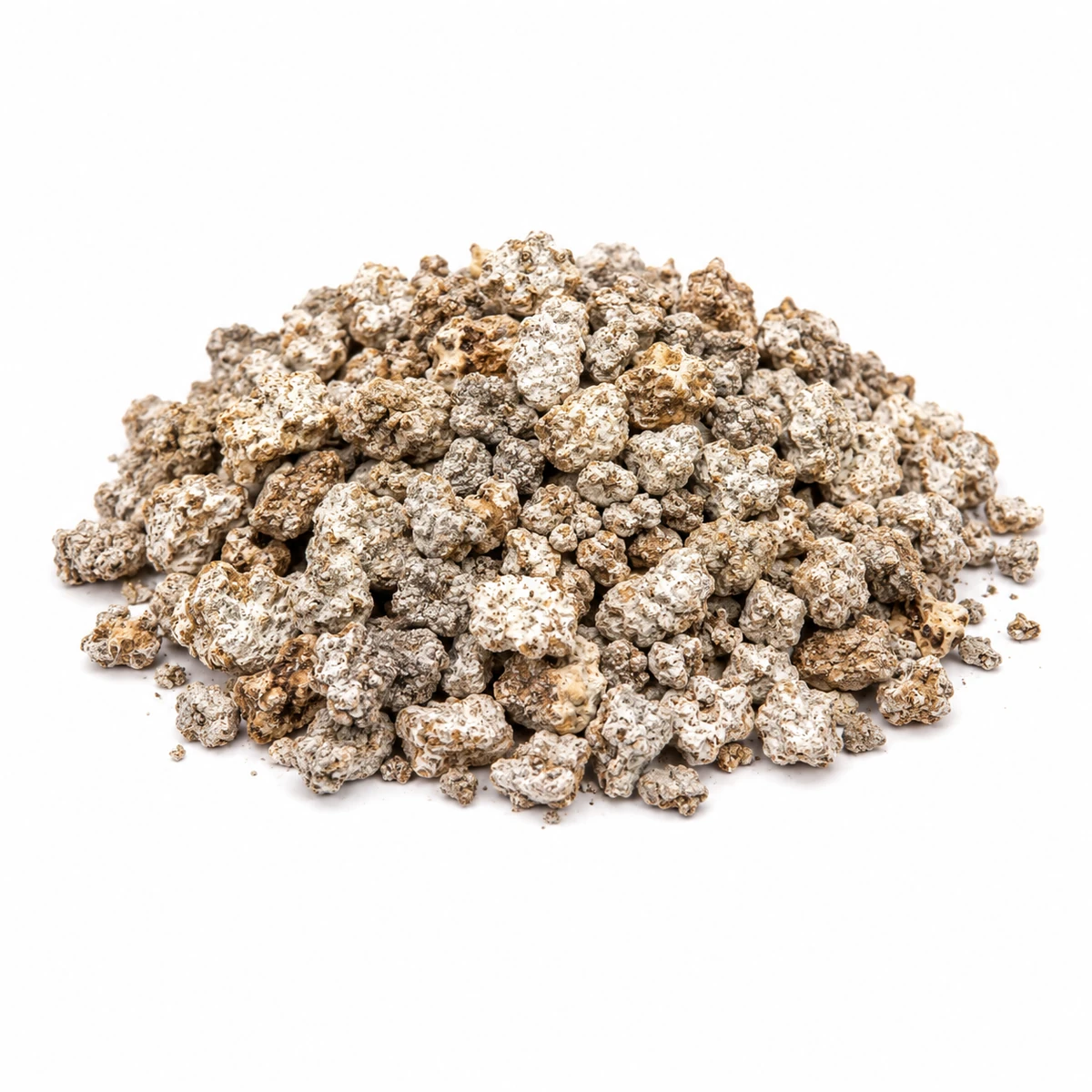 Whole Lion's Mane mycelium prepared for wholesale supply