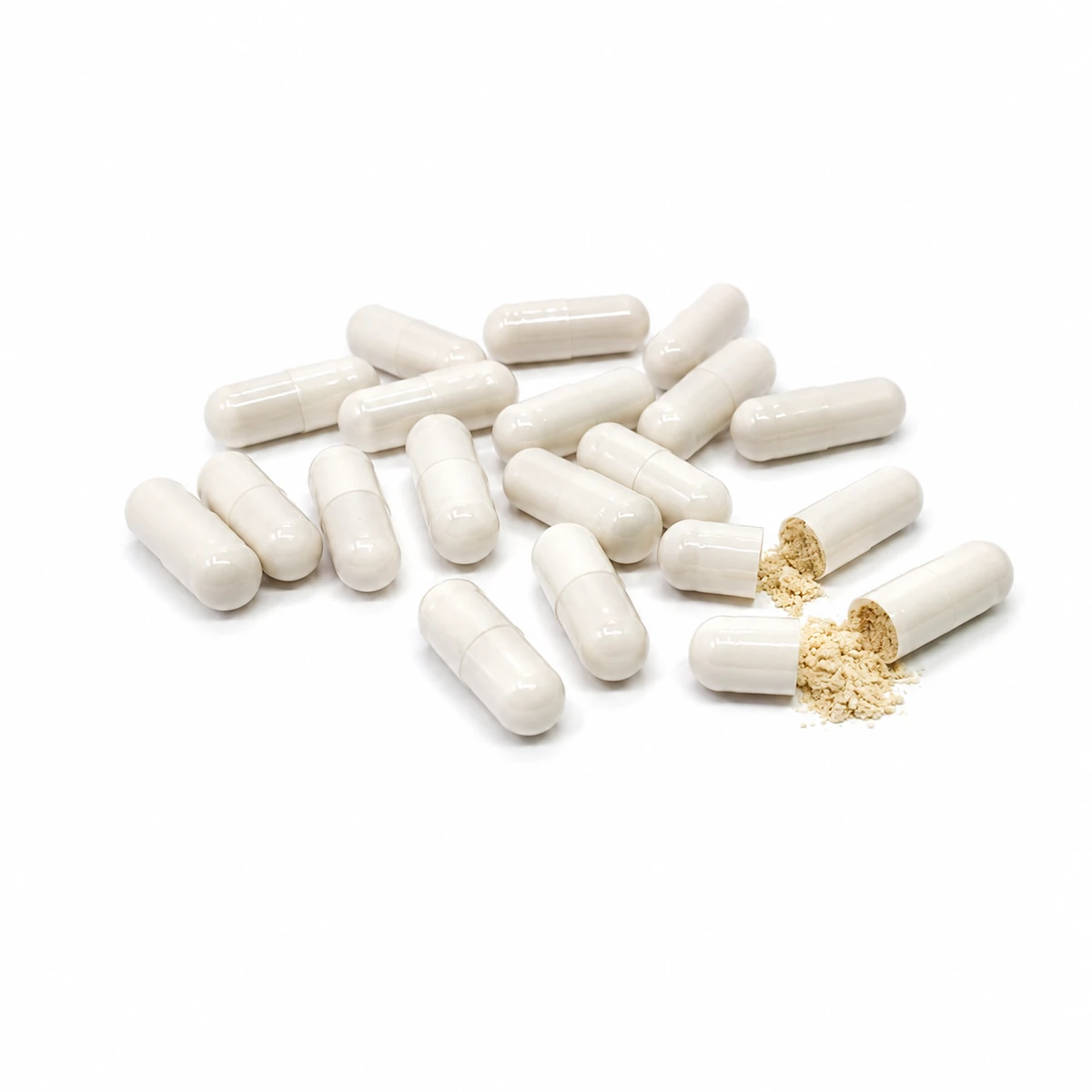 Lion's Mane capsules wholesale product