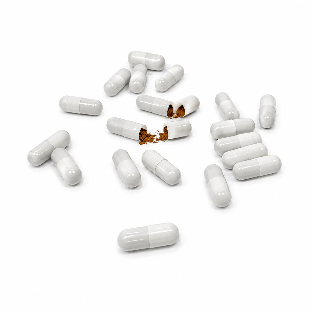 Lion's Mane 10:1 extract capsules wholesale product