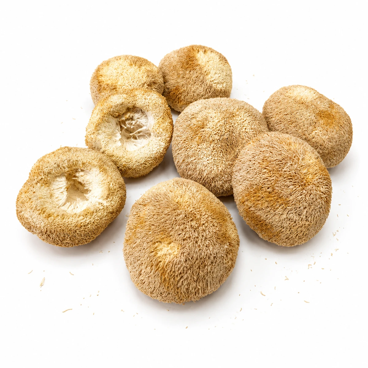 Lion's Mane whole mushrooms wholesale product
